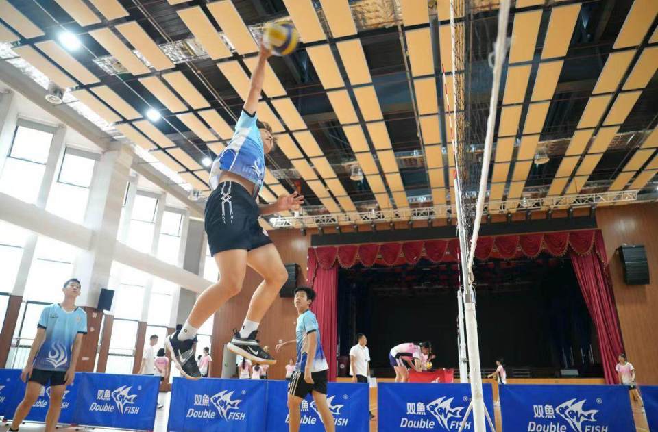 今年, 在学校科学