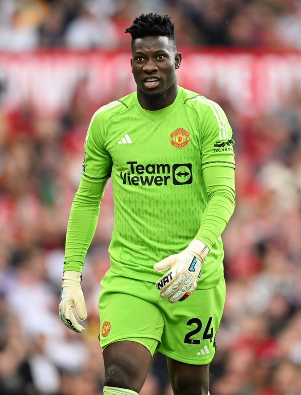 特别喜欢上 特别喜欢上