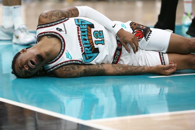 灰熊还在避, 选项