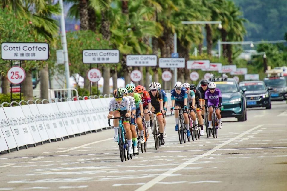 和谐发展的, 职业选手们 和谐发展的, 职业选手们