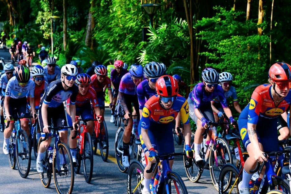 赛道两旁 赛道两旁